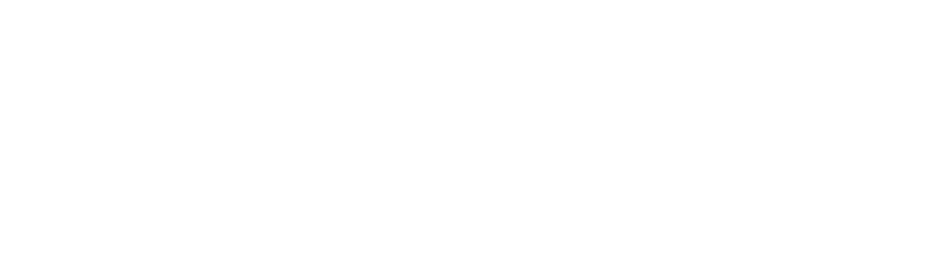 Mico Logo